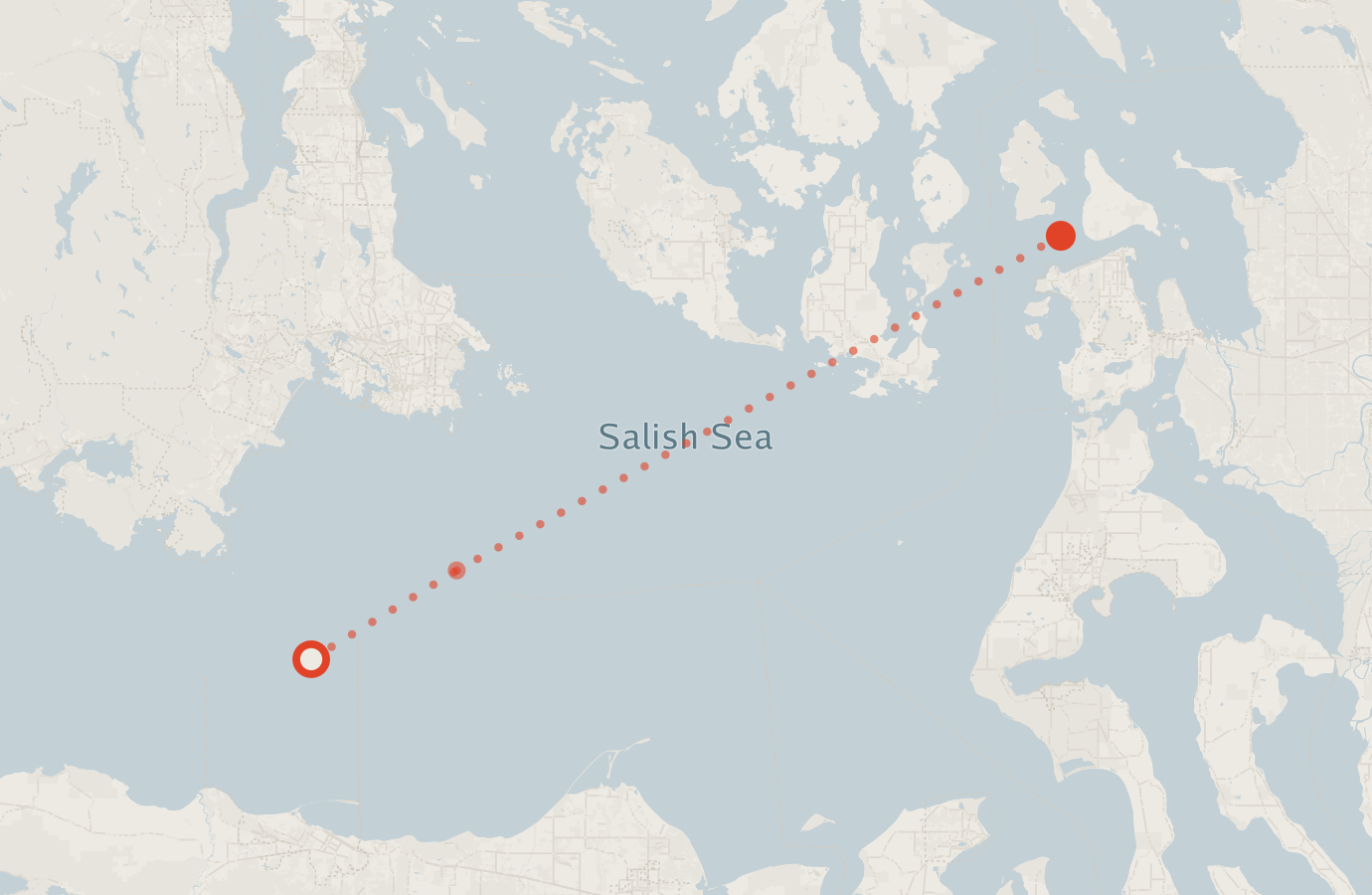 Activity map — real sighting points on an OpenStreetMap basemap