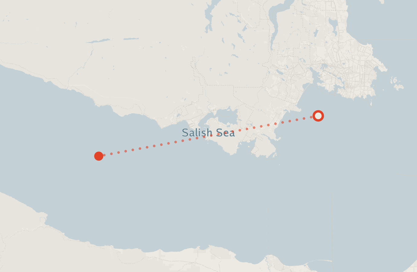 Activity map — real sighting points on an OpenStreetMap basemap