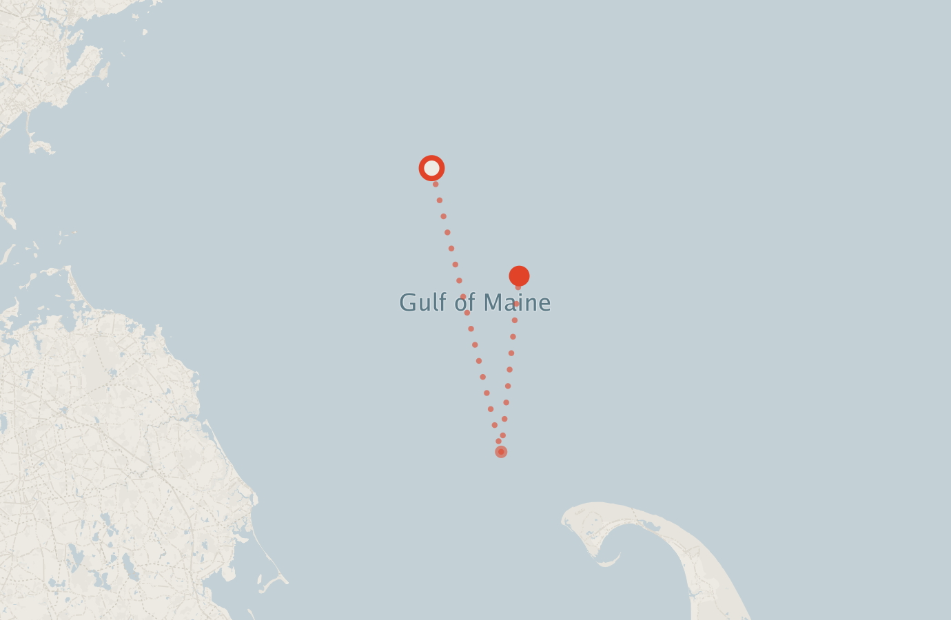 Activity map — real sighting points on an OpenStreetMap basemap