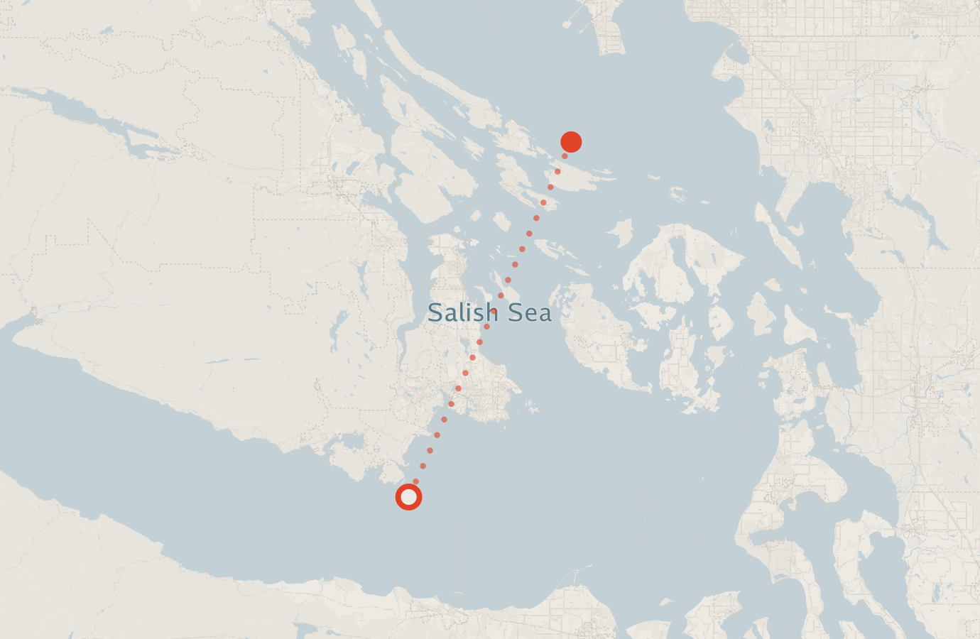 Activity map — real sighting points on an OpenStreetMap basemap