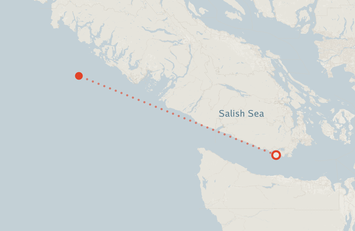 Activity map — real sighting points on an OpenStreetMap basemap