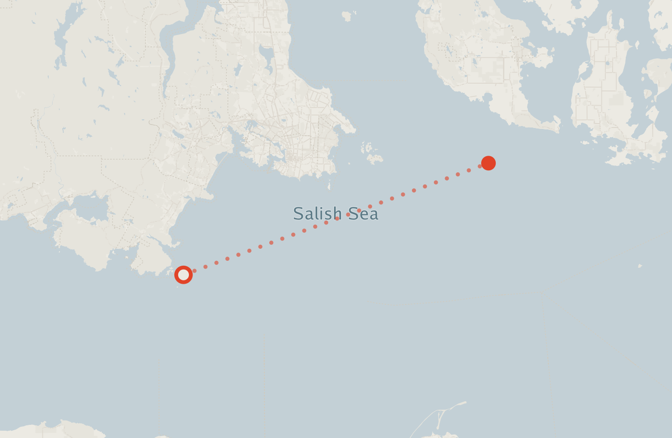 Activity map — real sighting points on an OpenStreetMap basemap