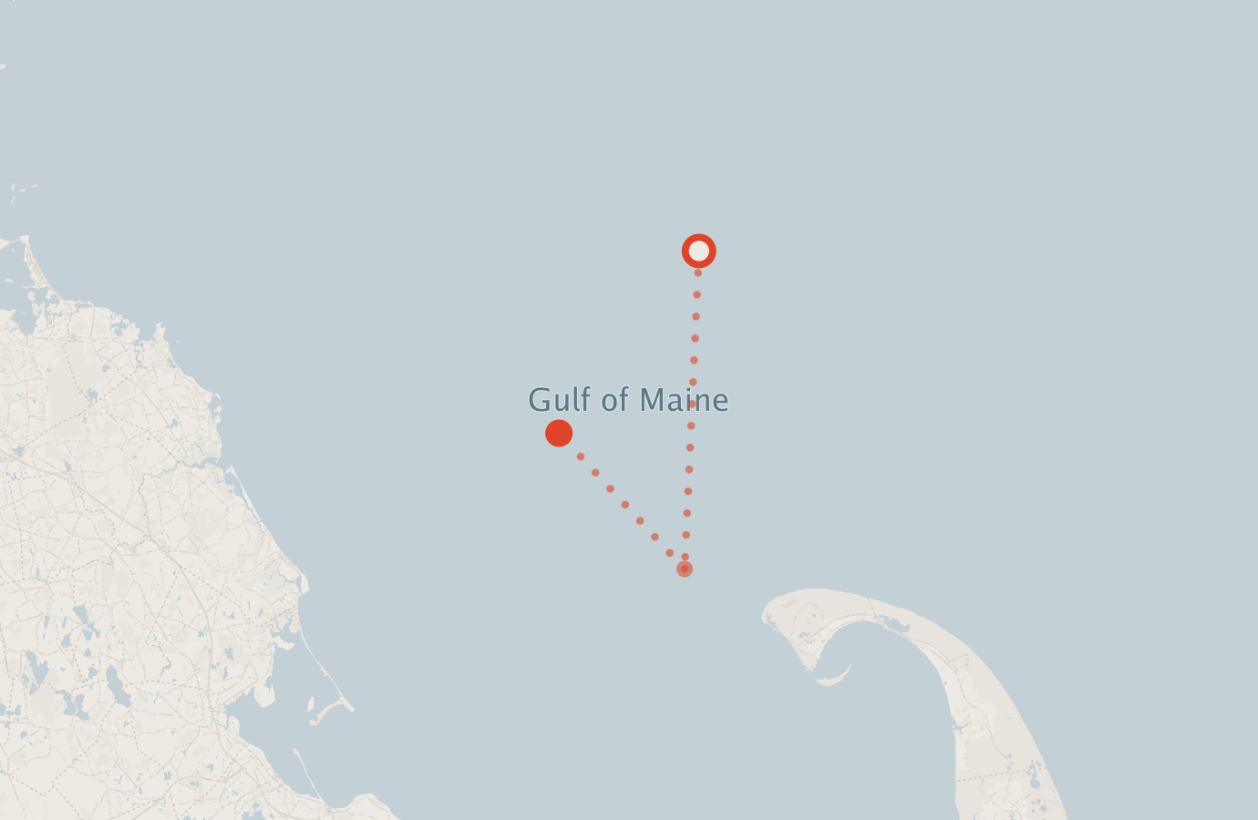 Activity map — real sighting points on an OpenStreetMap basemap