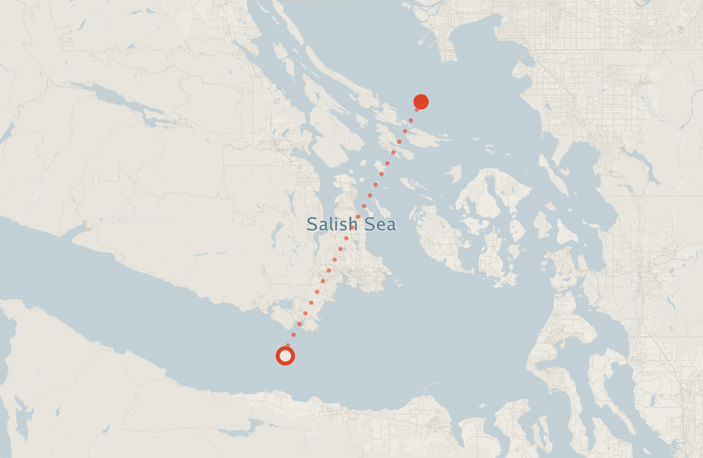 Activity map — real sighting points on an OpenStreetMap basemap