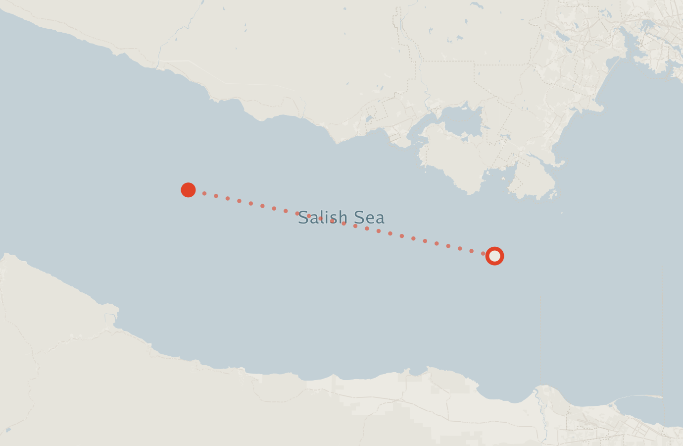 Activity map — real sighting points on an OpenStreetMap basemap