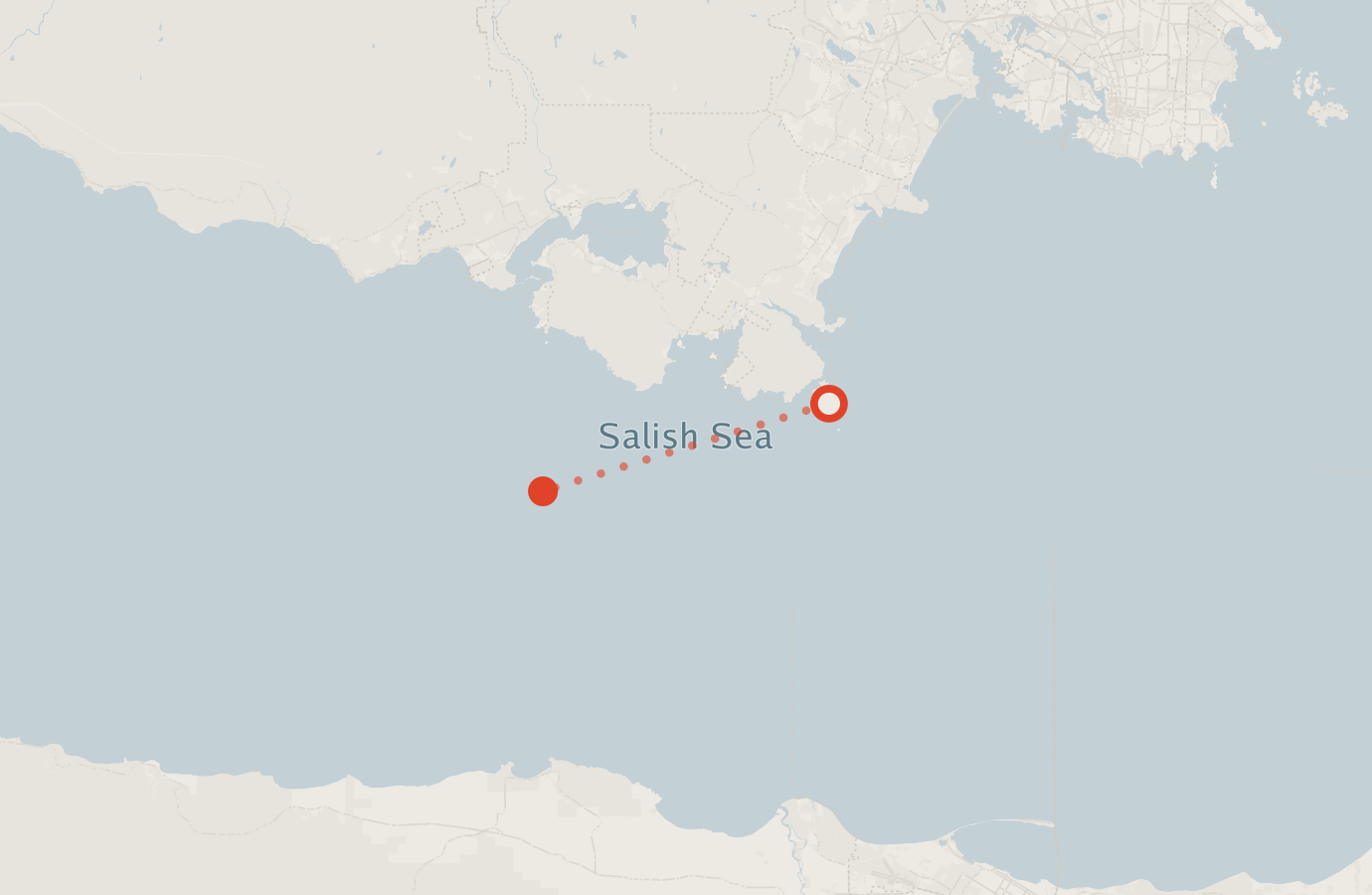 Activity map — real sighting points on an OpenStreetMap basemap