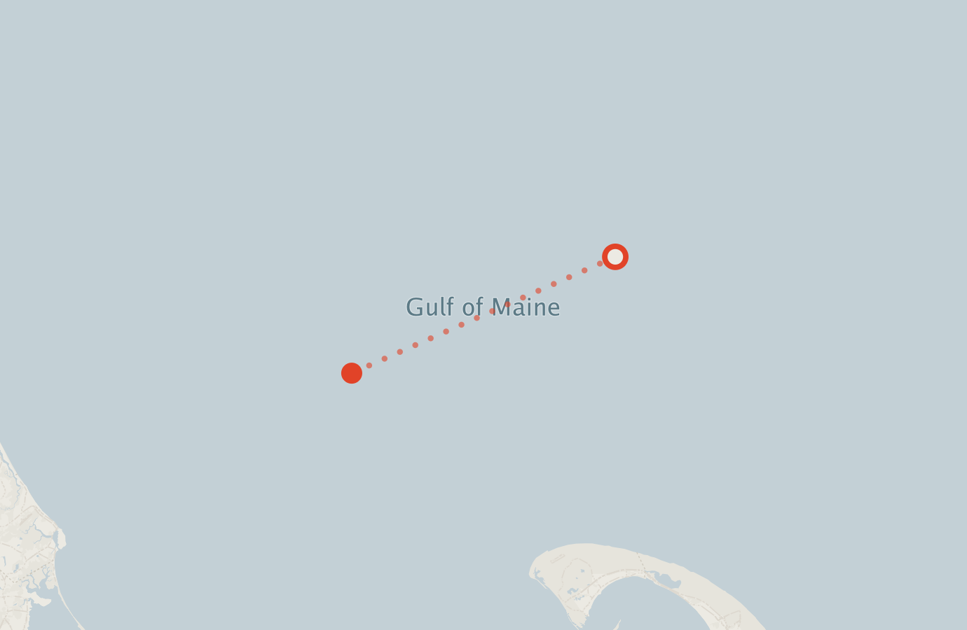 Activity map — real sighting points on an OpenStreetMap basemap