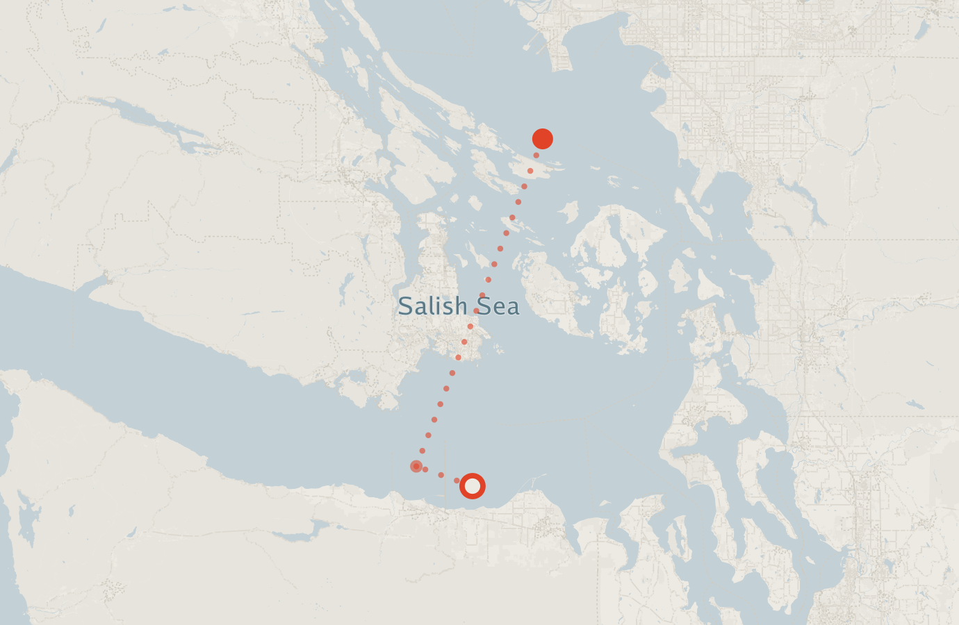 Activity map — real sighting points on an OpenStreetMap basemap