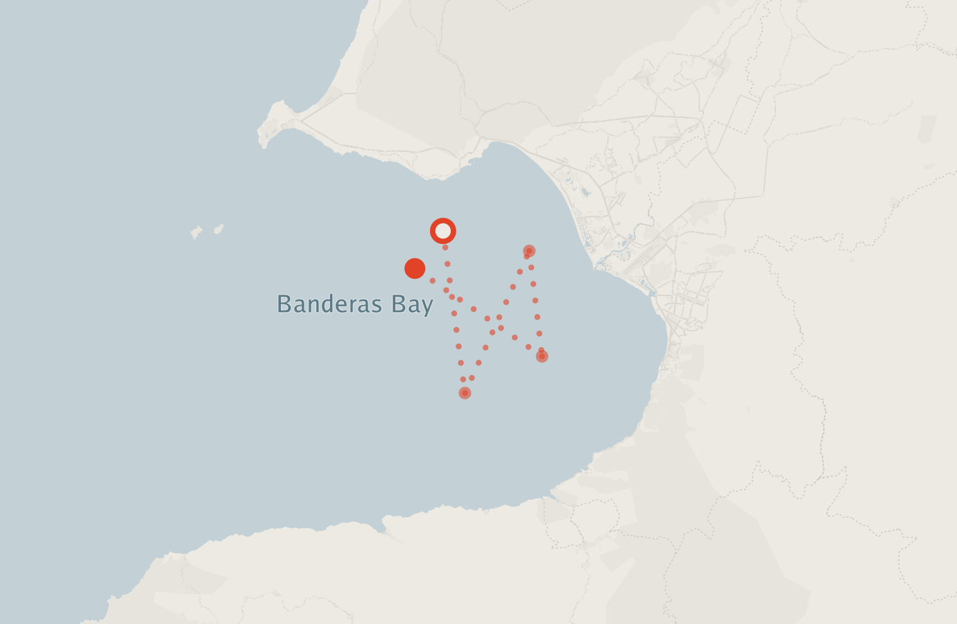 Activity map — real sighting points on an OpenStreetMap basemap