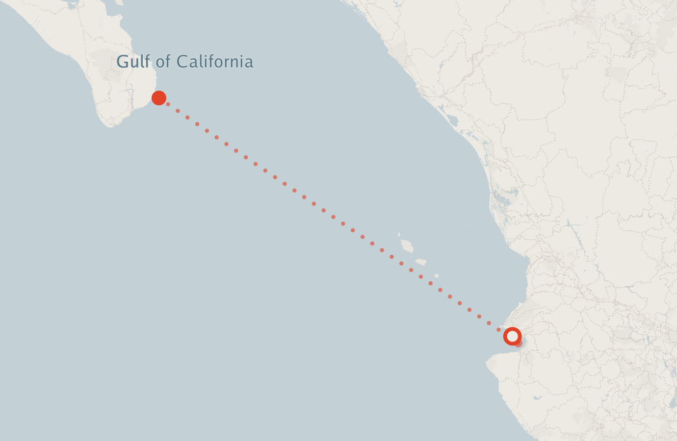 Activity map — real sighting points on an OpenStreetMap basemap
