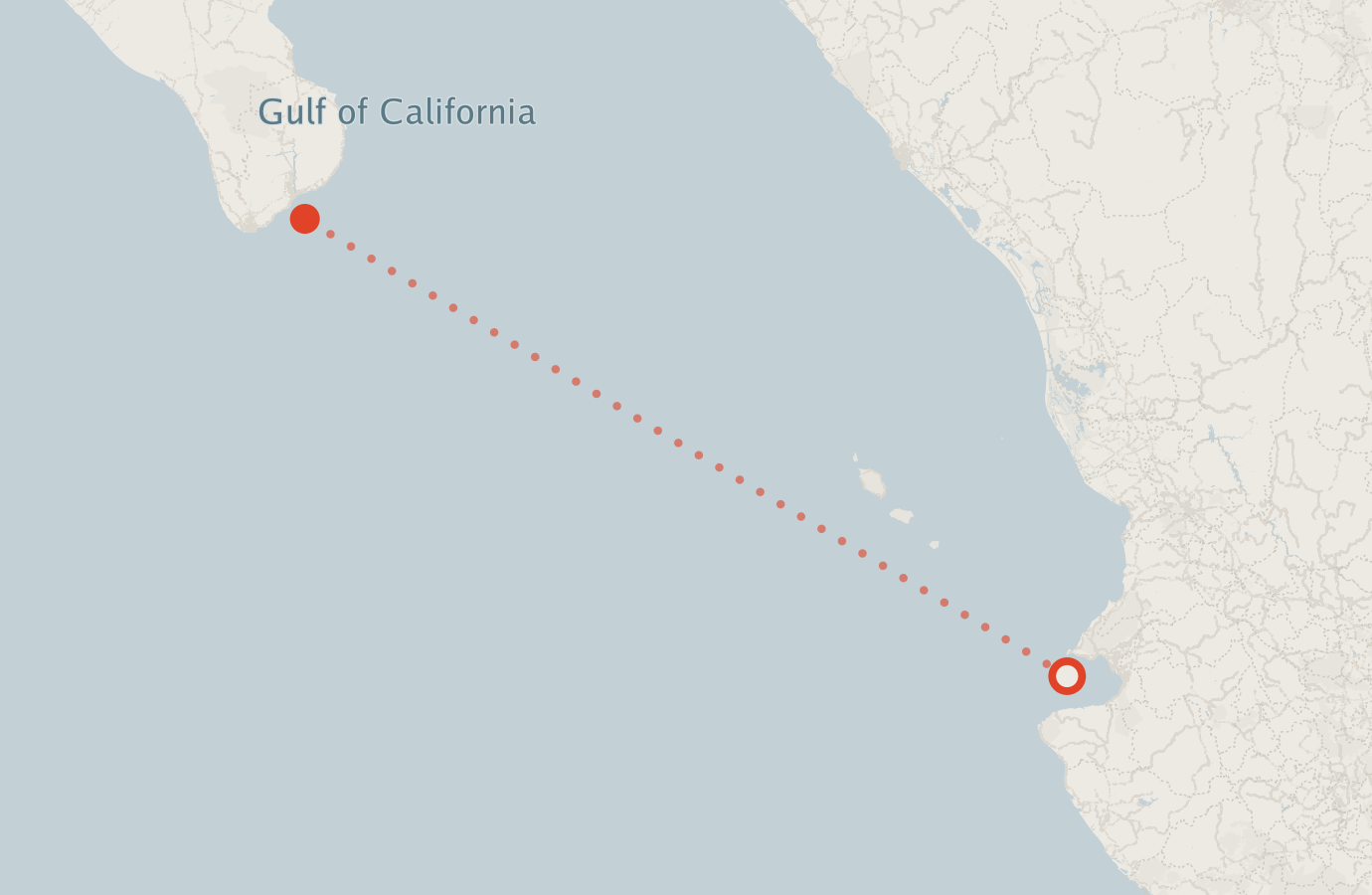 Activity map — real sighting points on an OpenStreetMap basemap