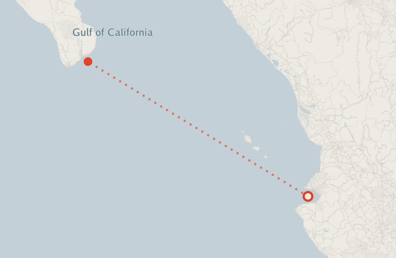 Activity map — real sighting points on an OpenStreetMap basemap