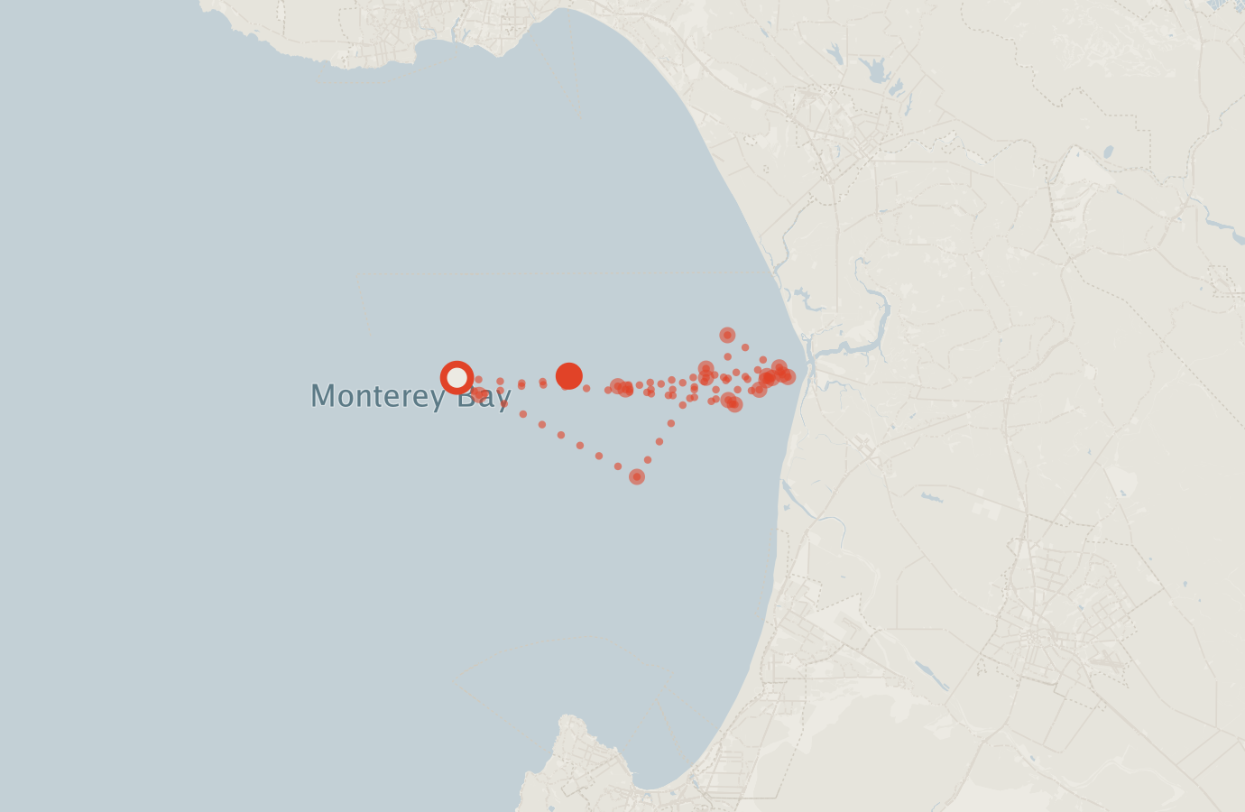 Activity map — real sighting points on an OpenStreetMap basemap