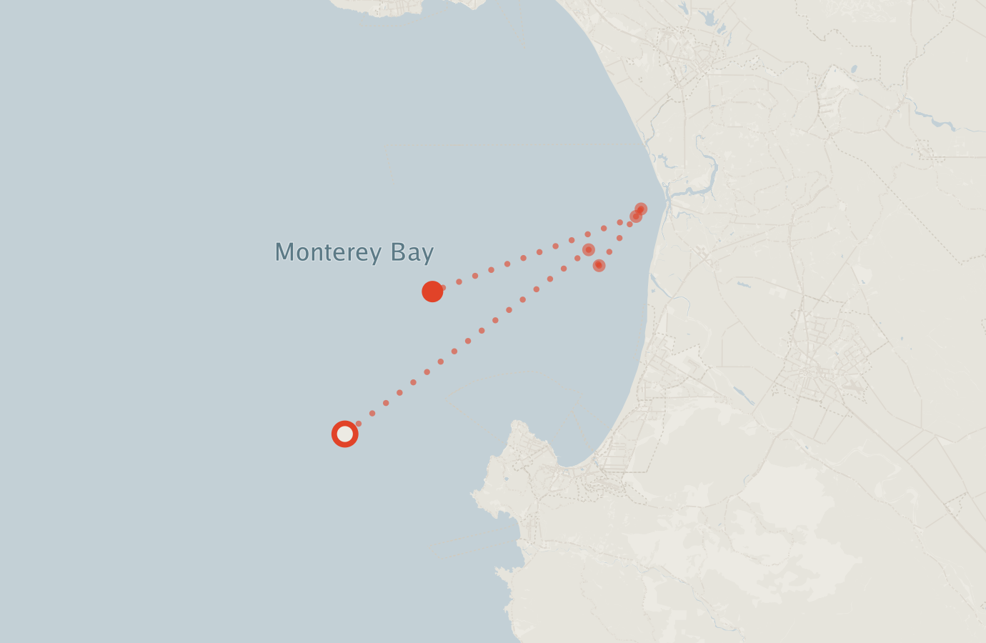 Activity map — real sighting points on an OpenStreetMap basemap