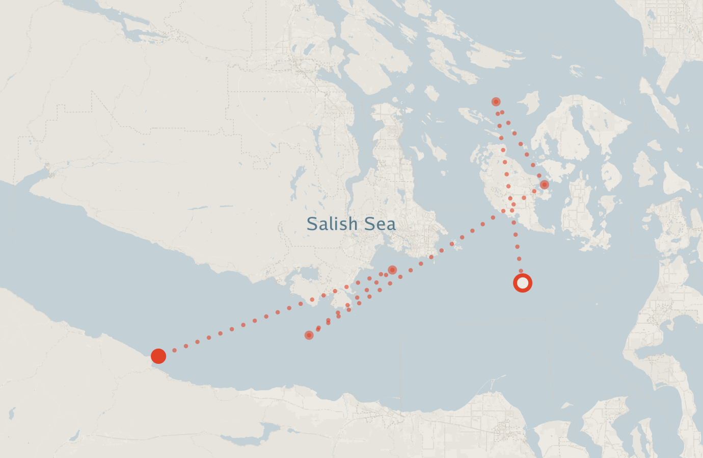 Activity map — real sighting points on an OpenStreetMap basemap