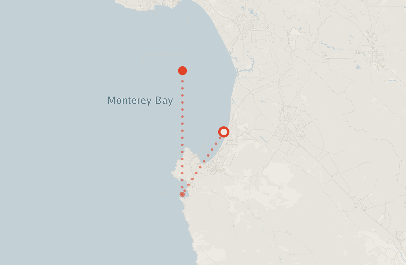 Activity map — real sighting points on an OpenStreetMap basemap