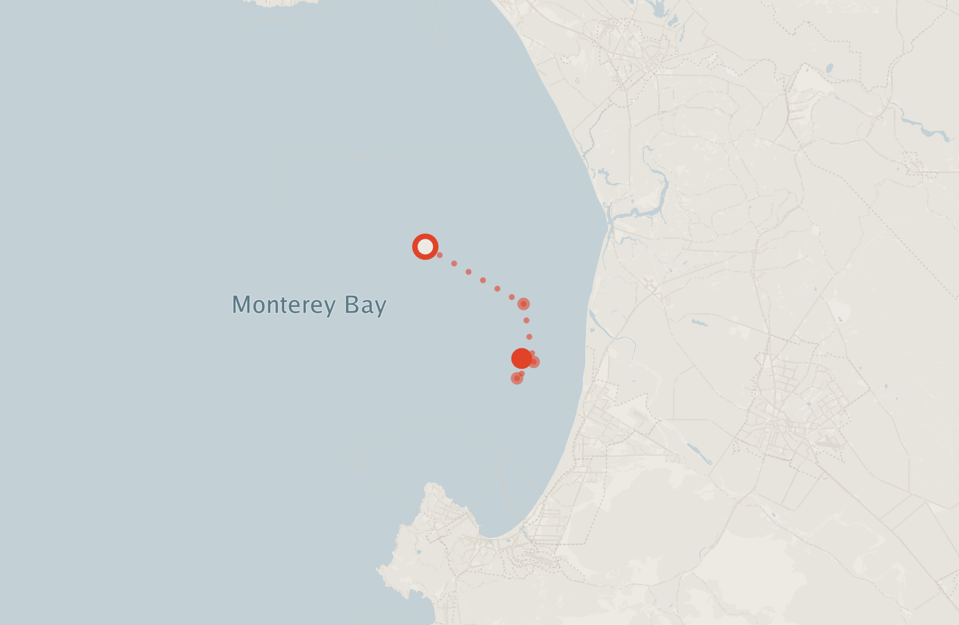 Activity map — real sighting points on an OpenStreetMap basemap