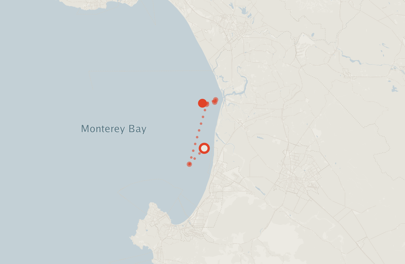 Activity map — real sighting points on an OpenStreetMap basemap