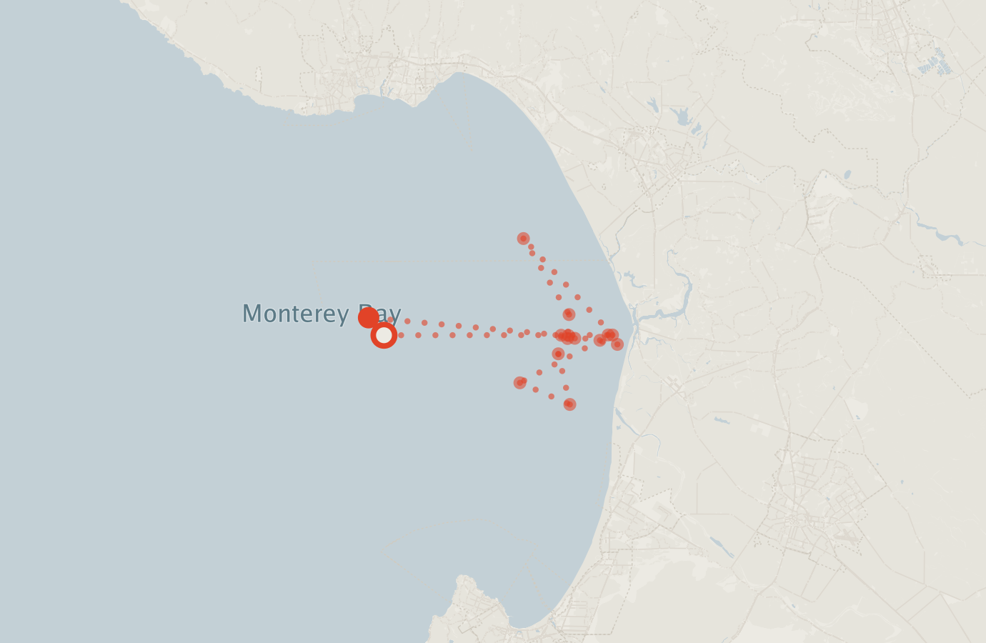 Activity map — real sighting points on an OpenStreetMap basemap