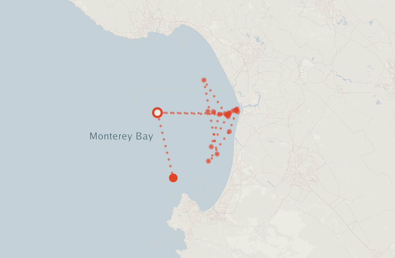 Activity map — real sighting points on an OpenStreetMap basemap