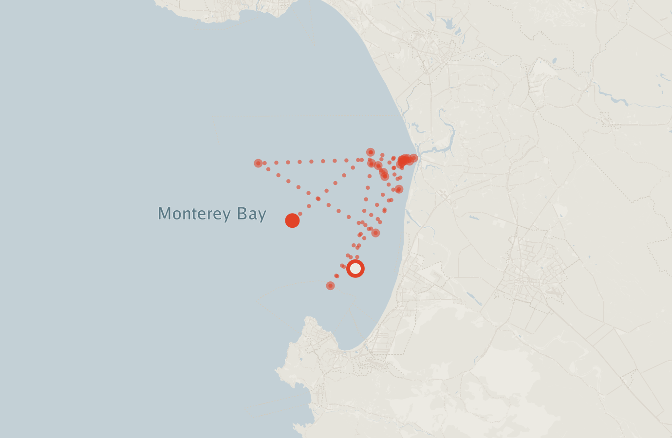 Activity map — real sighting points on an OpenStreetMap basemap