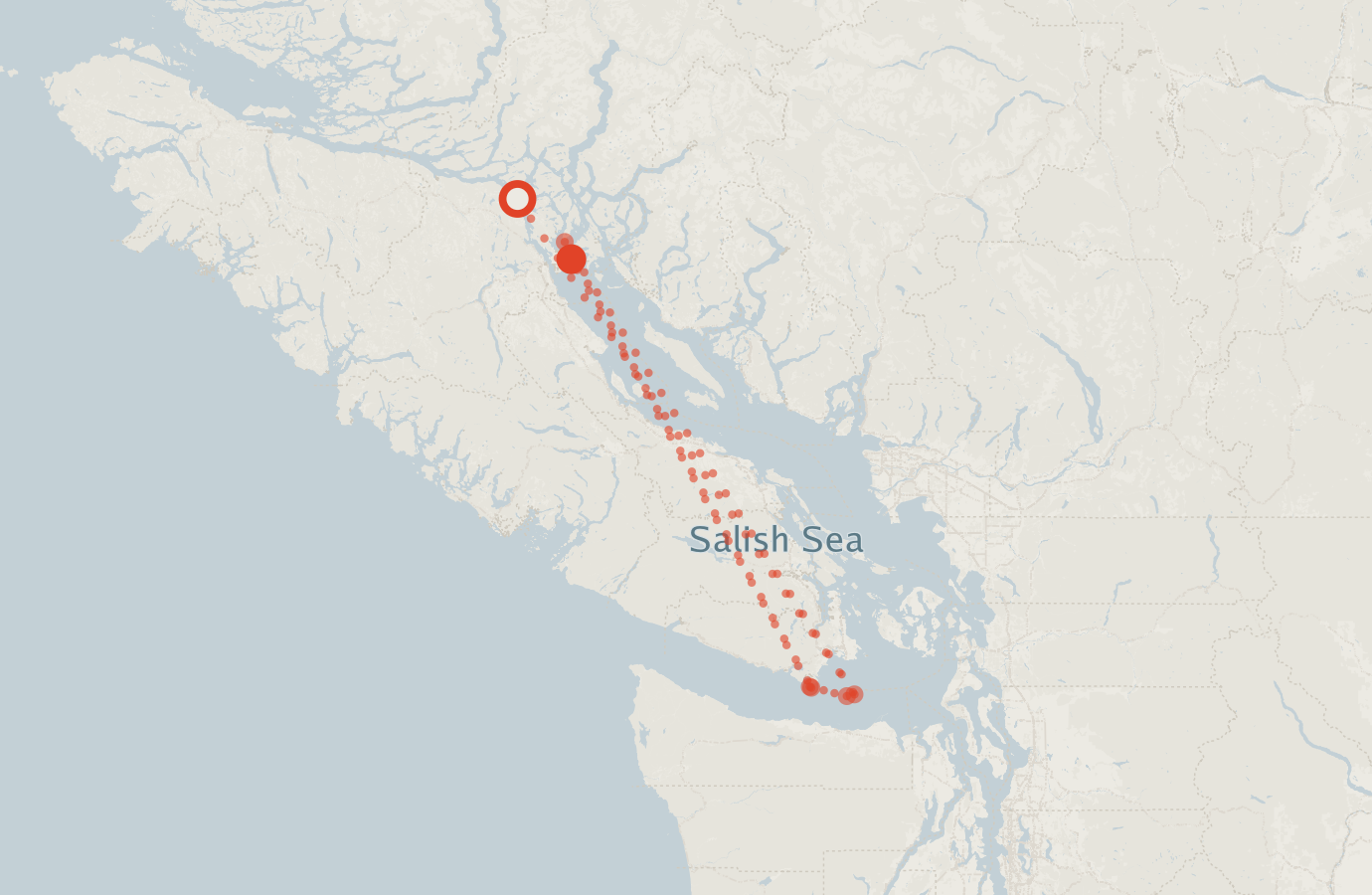 Activity map — real sighting points on an OpenStreetMap basemap