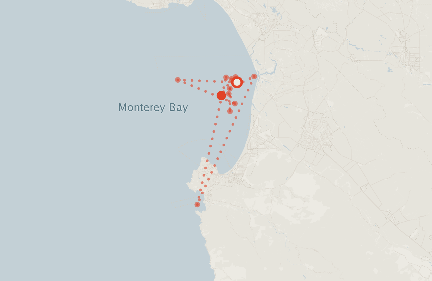 Activity map — real sighting points on an OpenStreetMap basemap
