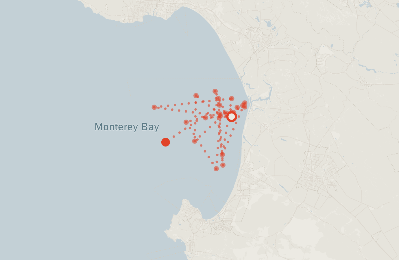 Activity map — real sighting points on an OpenStreetMap basemap