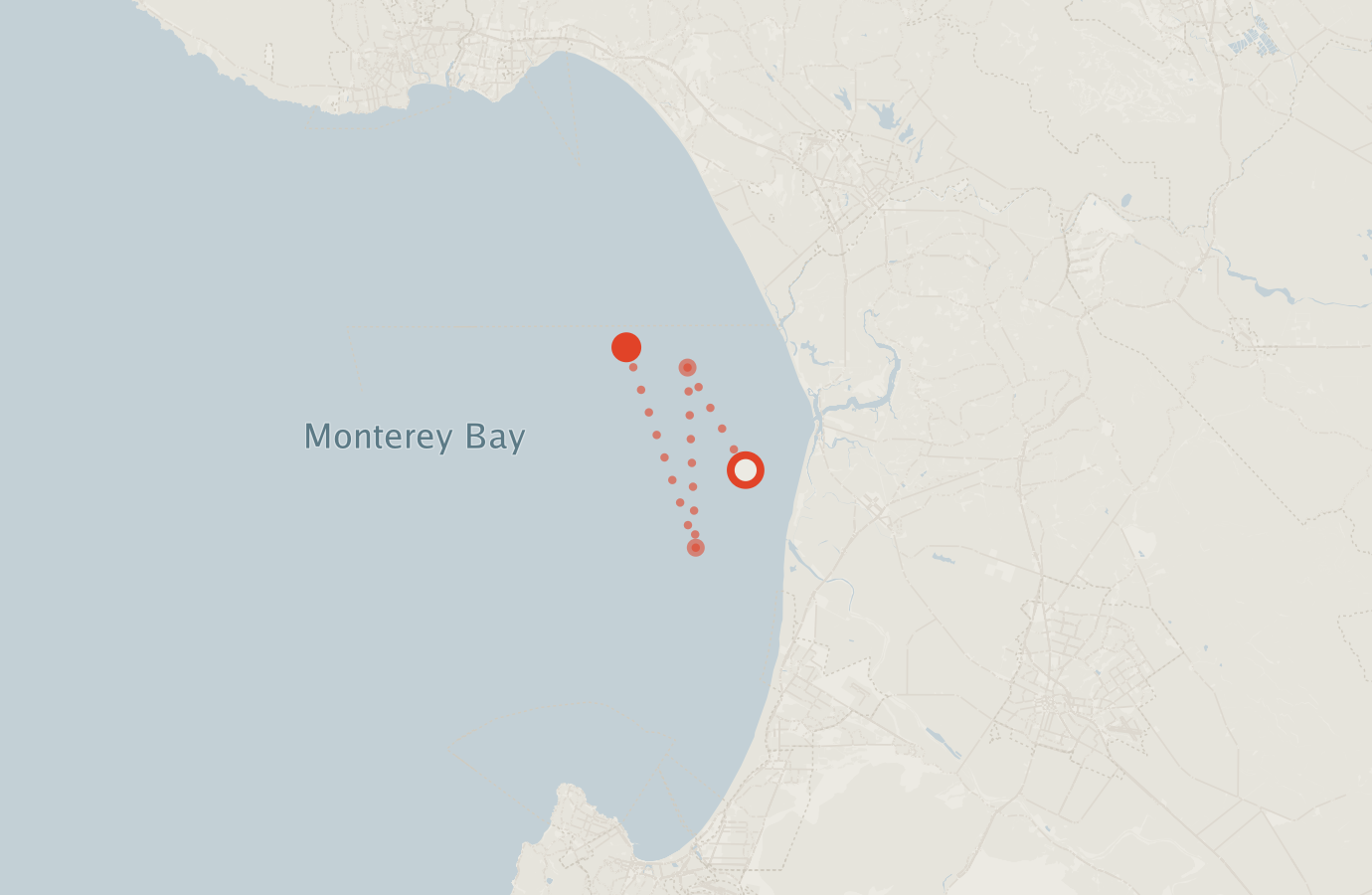 Activity map — real sighting points on an OpenStreetMap basemap