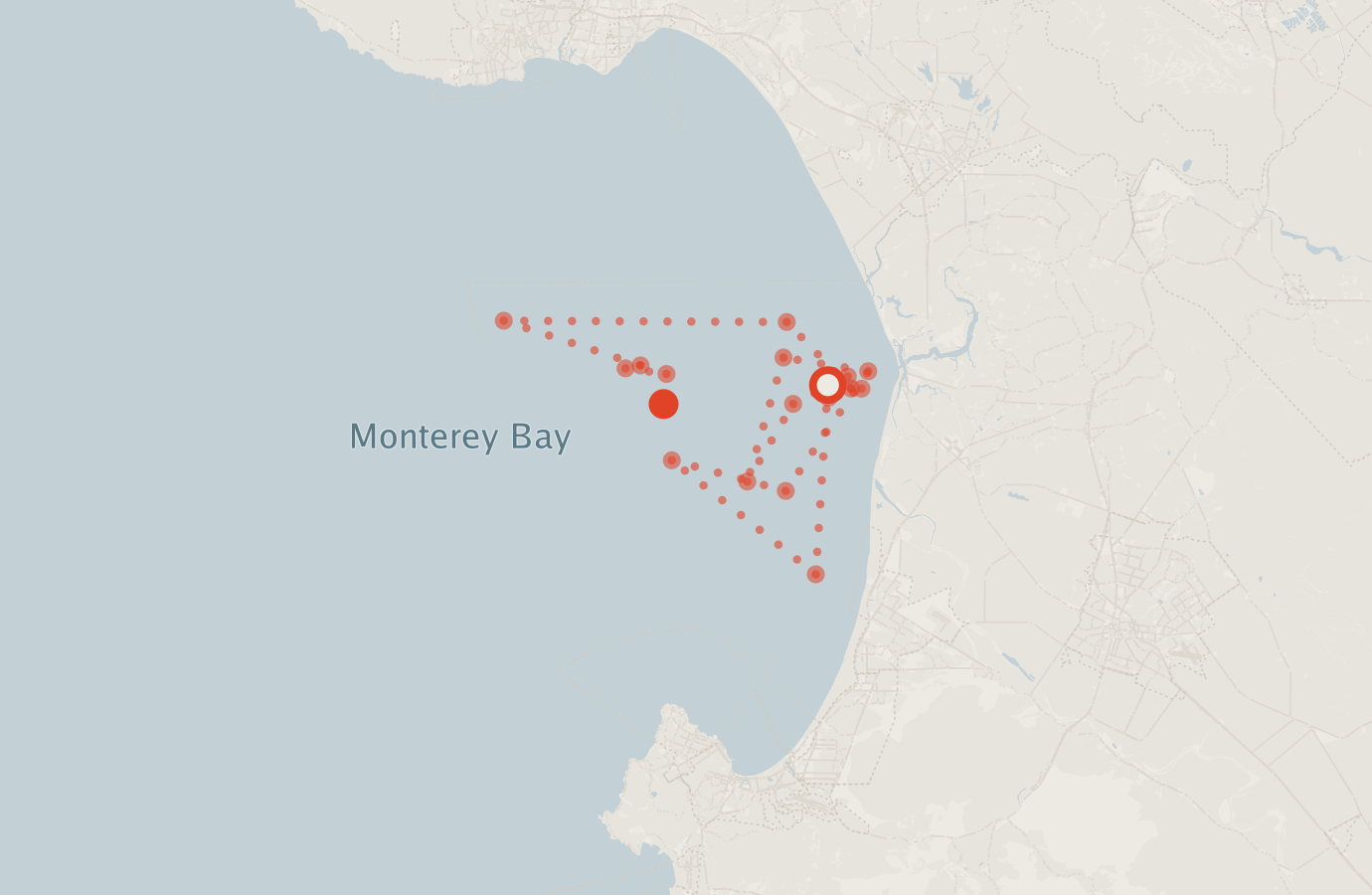 Activity map — real sighting points on an OpenStreetMap basemap