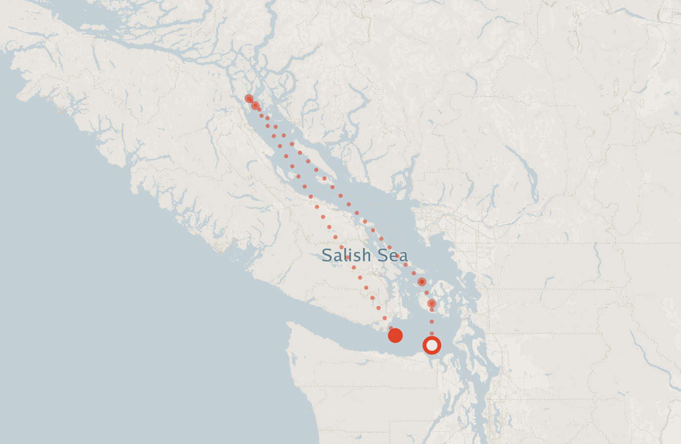 Activity map — real sighting points on an OpenStreetMap basemap