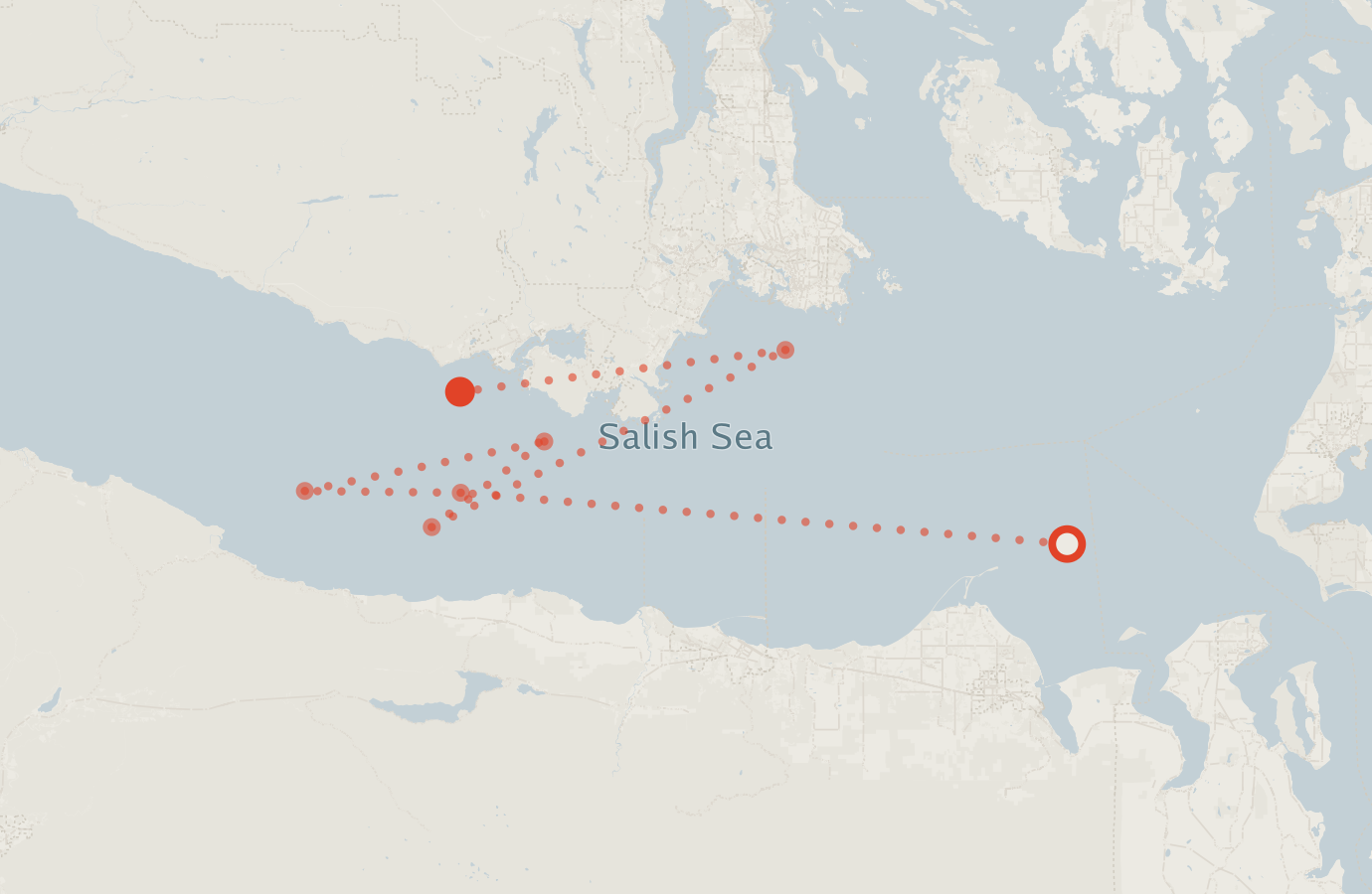 Activity map — real sighting points on an OpenStreetMap basemap