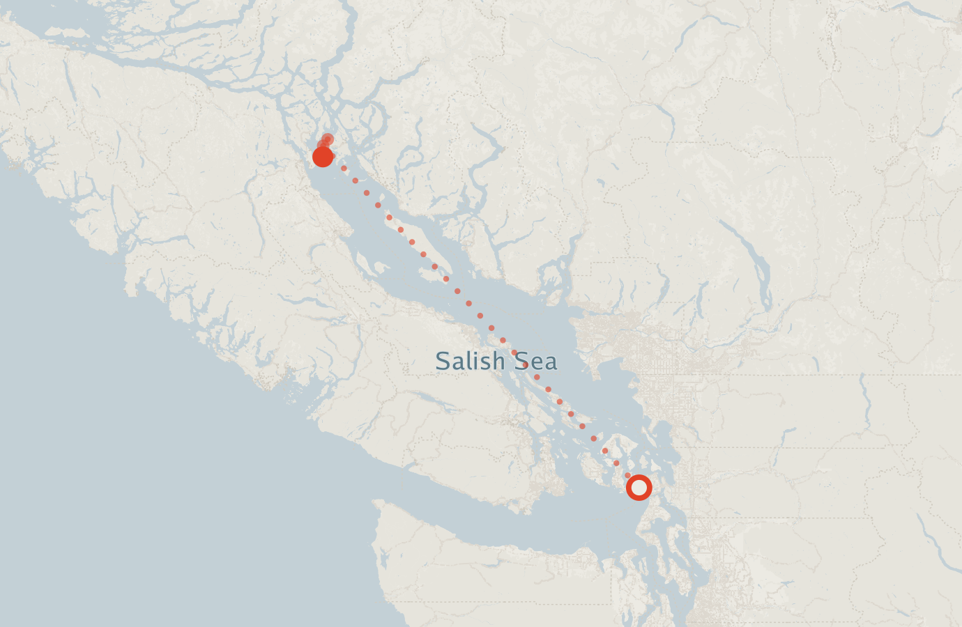 Activity map — real sighting points on an OpenStreetMap basemap