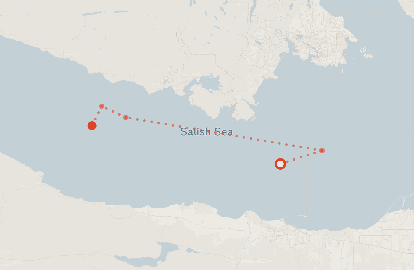 Activity map — real sighting points on an OpenStreetMap basemap