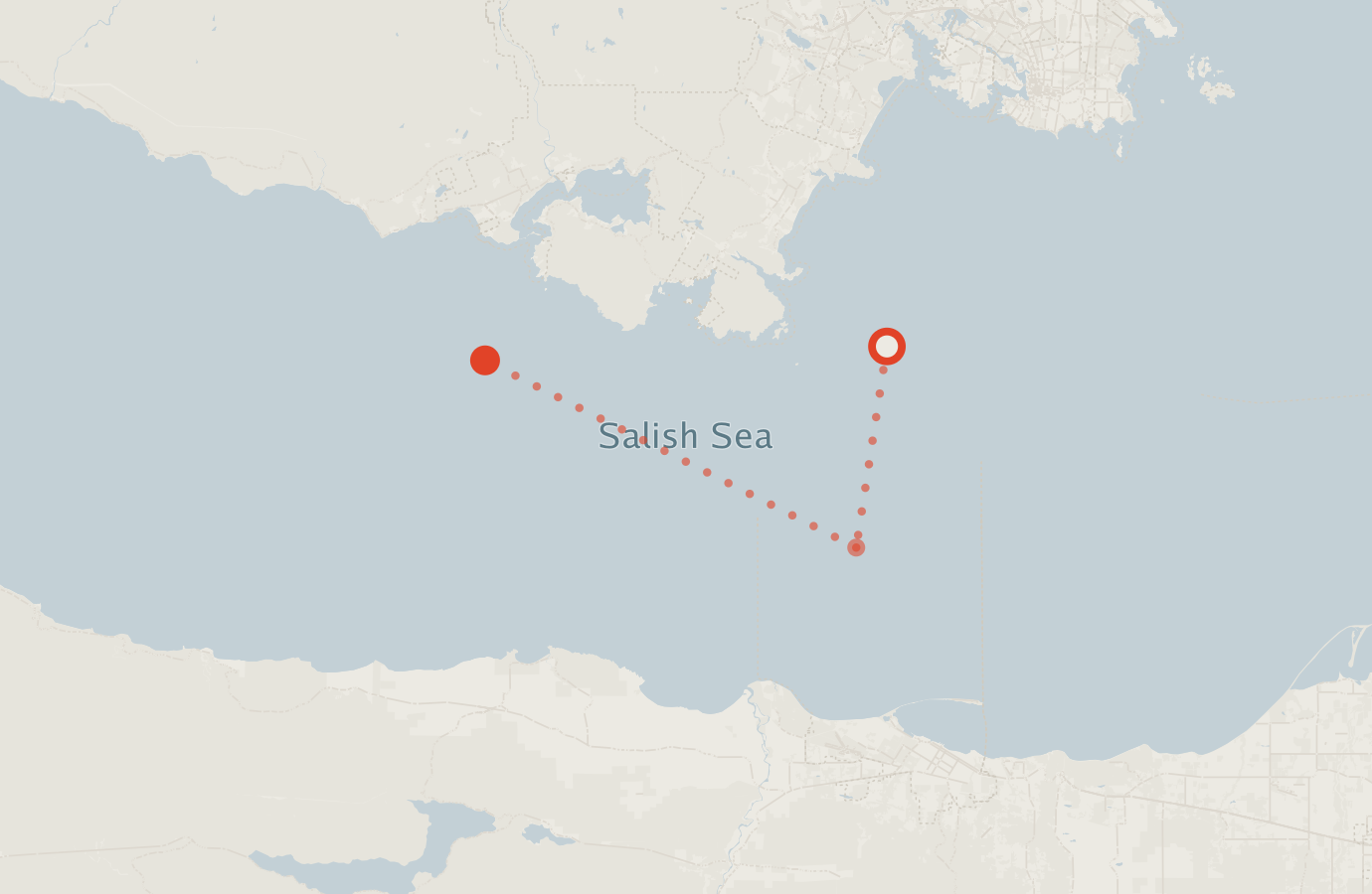 Activity map — real sighting points on an OpenStreetMap basemap