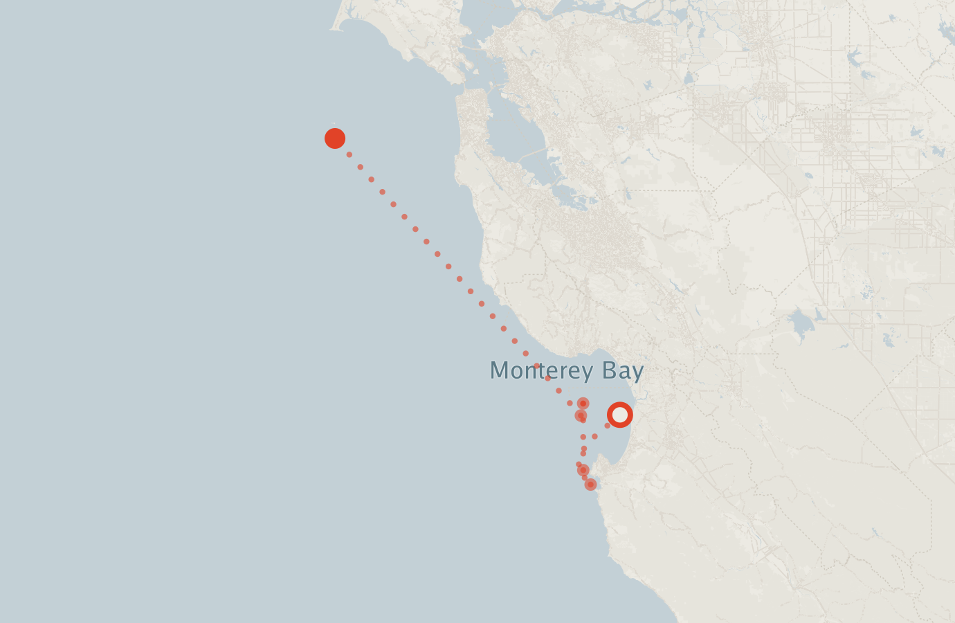 Activity map — real sighting points on an OpenStreetMap basemap