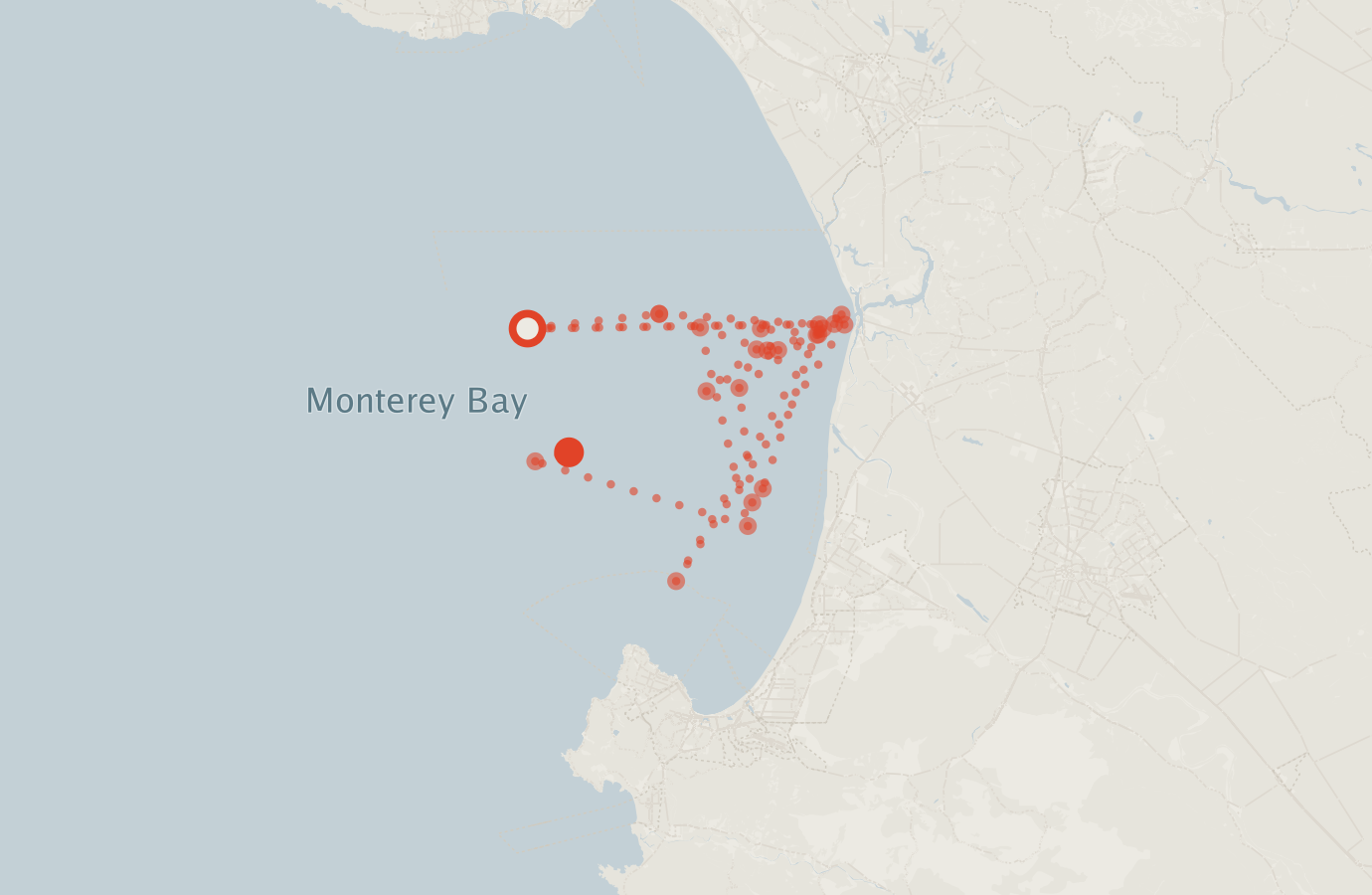 Activity map — real sighting points on an OpenStreetMap basemap