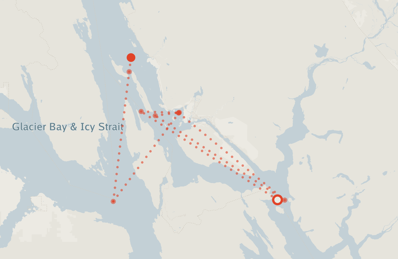 Activity map — real sighting points on an OpenStreetMap basemap