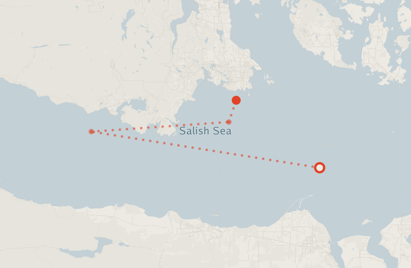 Activity map — real sighting points on an OpenStreetMap basemap