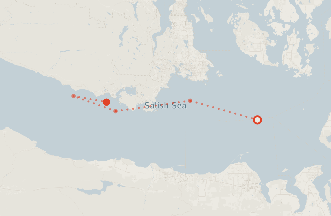 Activity map — real sighting points on an OpenStreetMap basemap