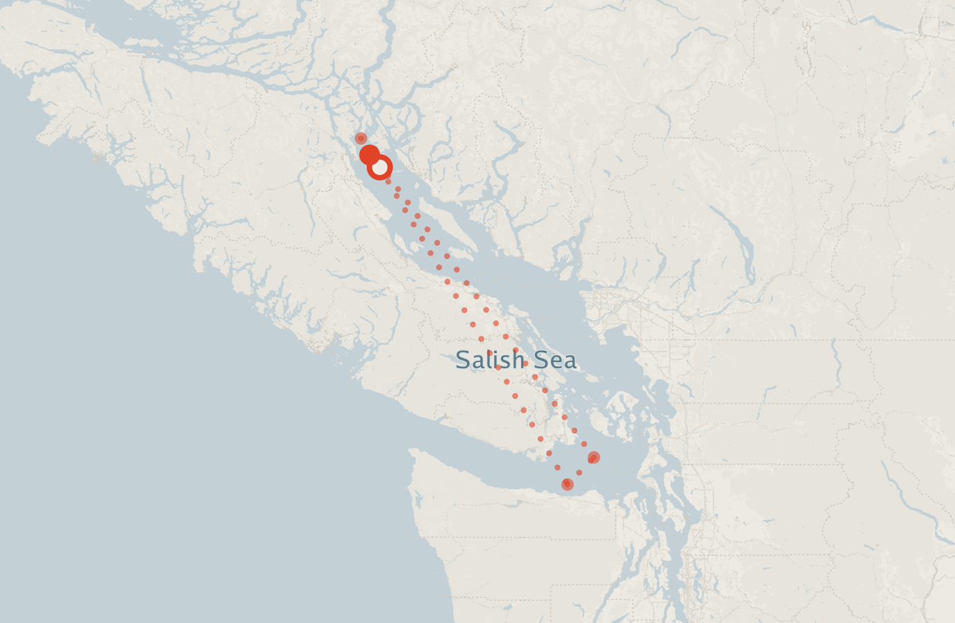 Activity map — real sighting points on an OpenStreetMap basemap