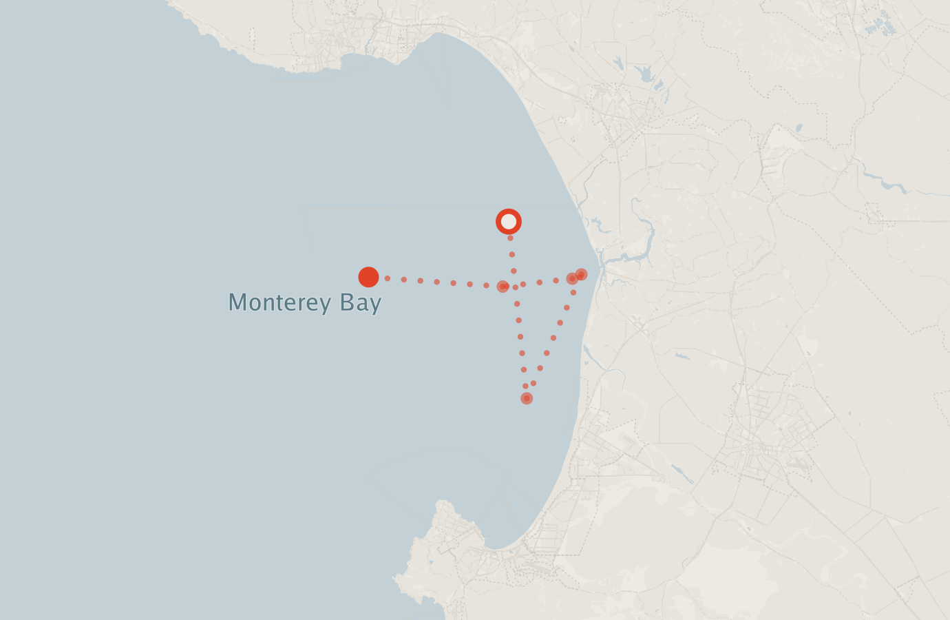Activity map — real sighting points on an OpenStreetMap basemap