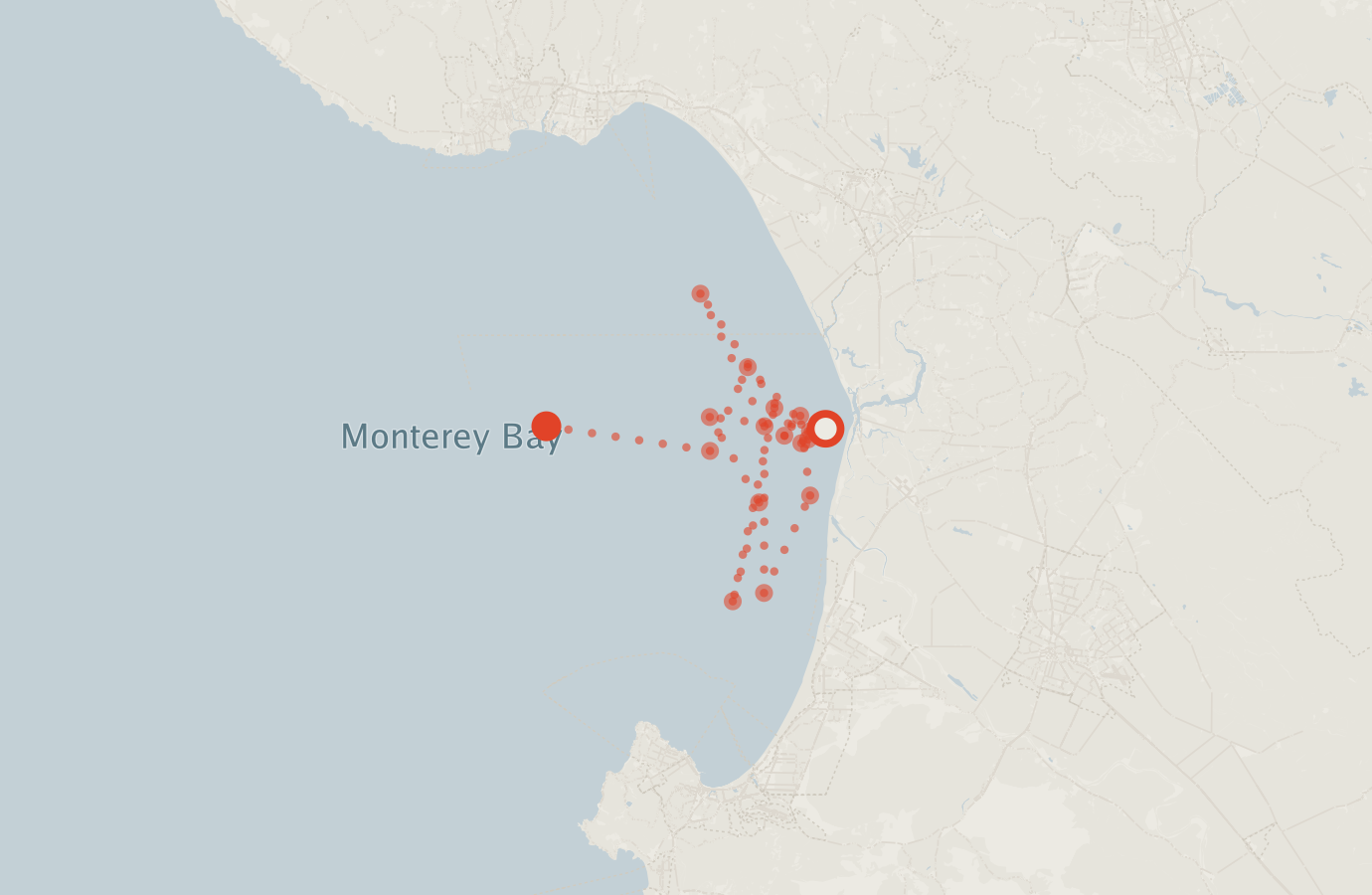 Activity map — real sighting points on an OpenStreetMap basemap