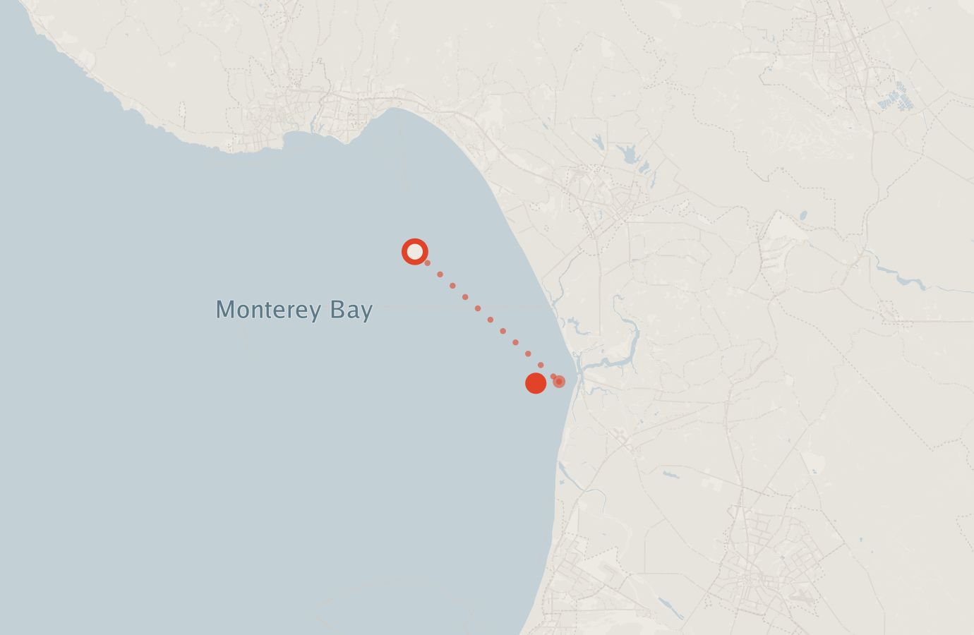 Activity map — real sighting points on an OpenStreetMap basemap