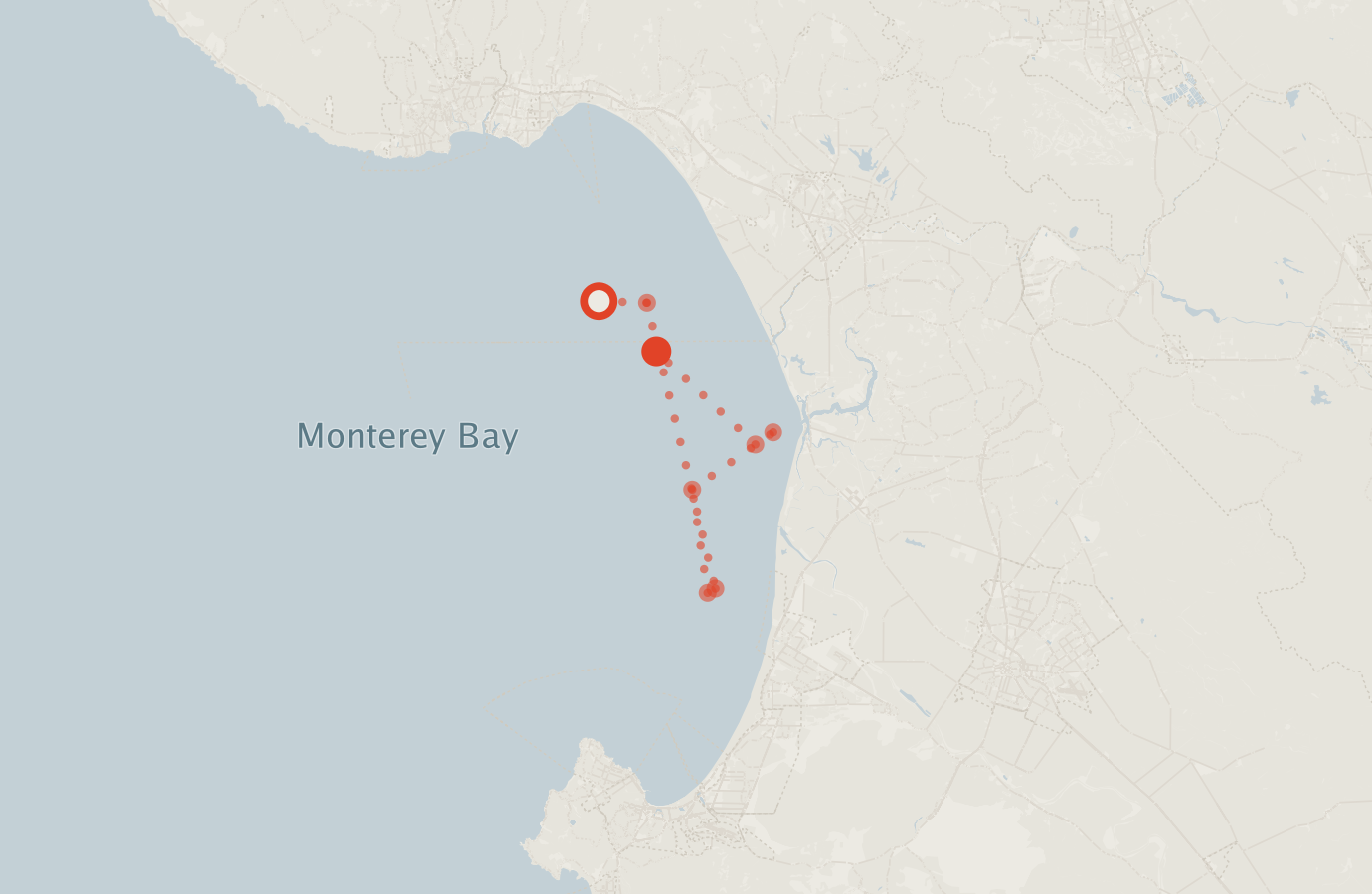 Activity map — real sighting points on an OpenStreetMap basemap