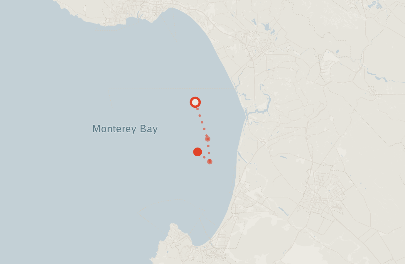 Activity map — real sighting points on an OpenStreetMap basemap