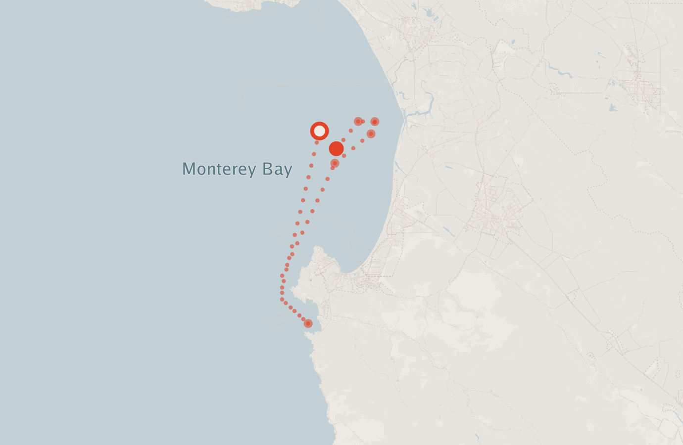 Activity map — real sighting points on an OpenStreetMap basemap