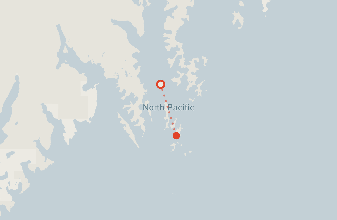 Activity map — real sighting points on an OpenStreetMap basemap