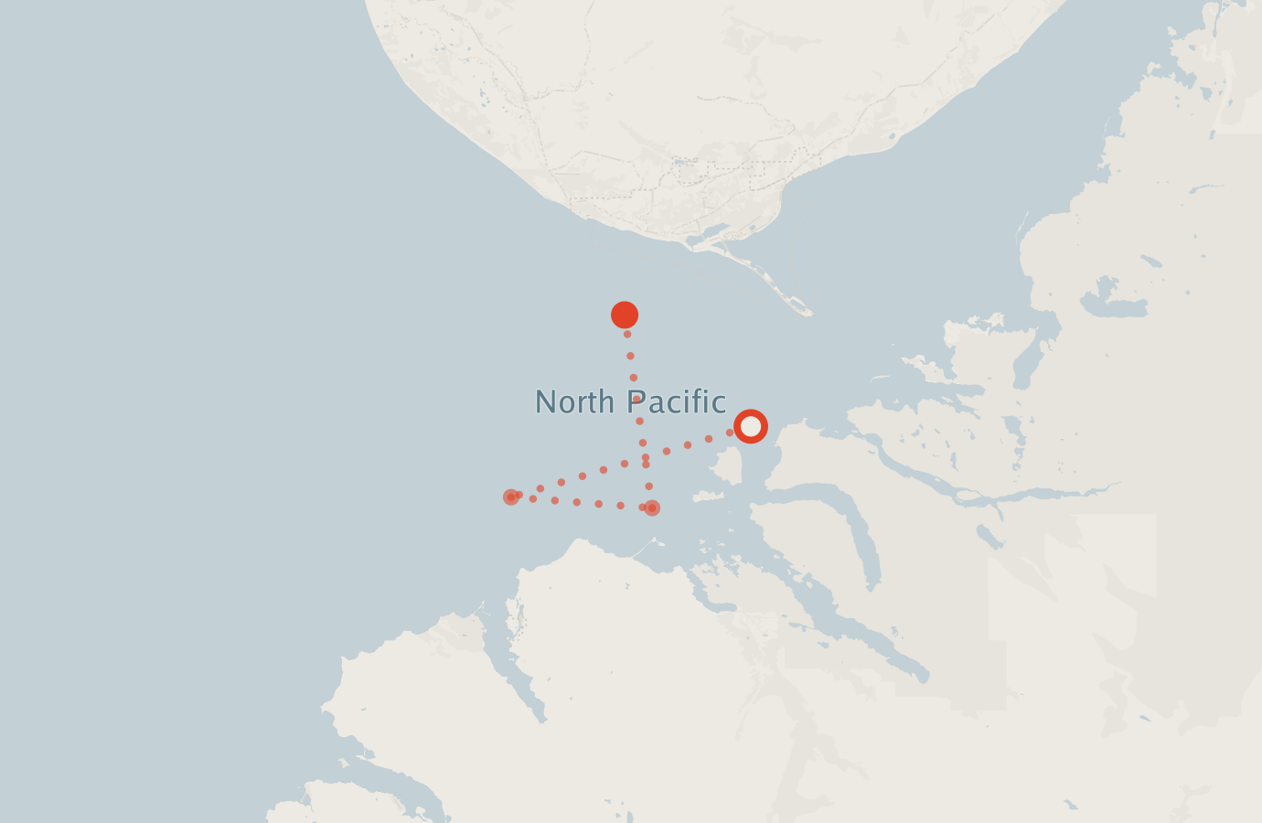 Activity map — real sighting points on an OpenStreetMap basemap