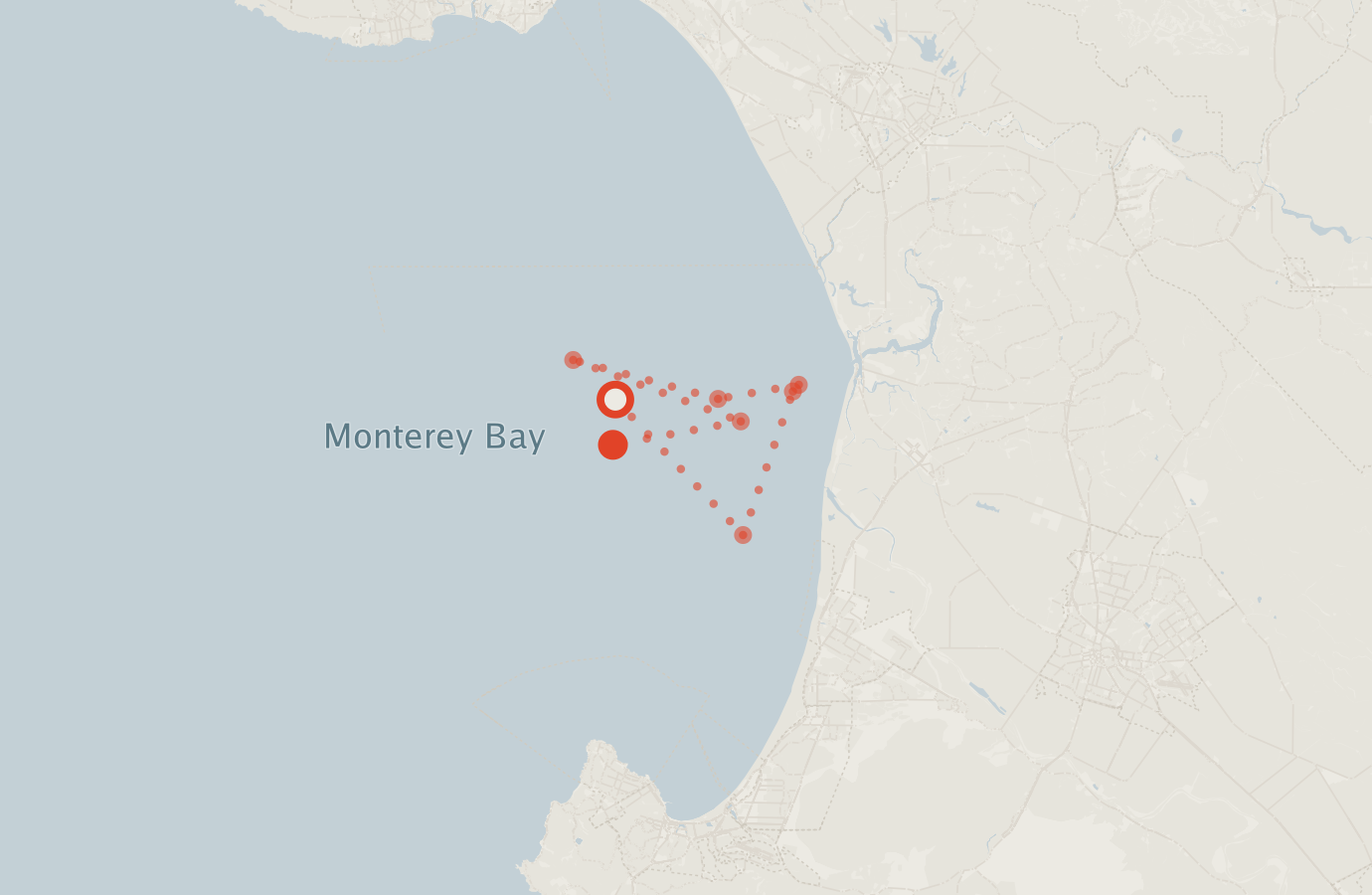 Activity map — real sighting points on an OpenStreetMap basemap